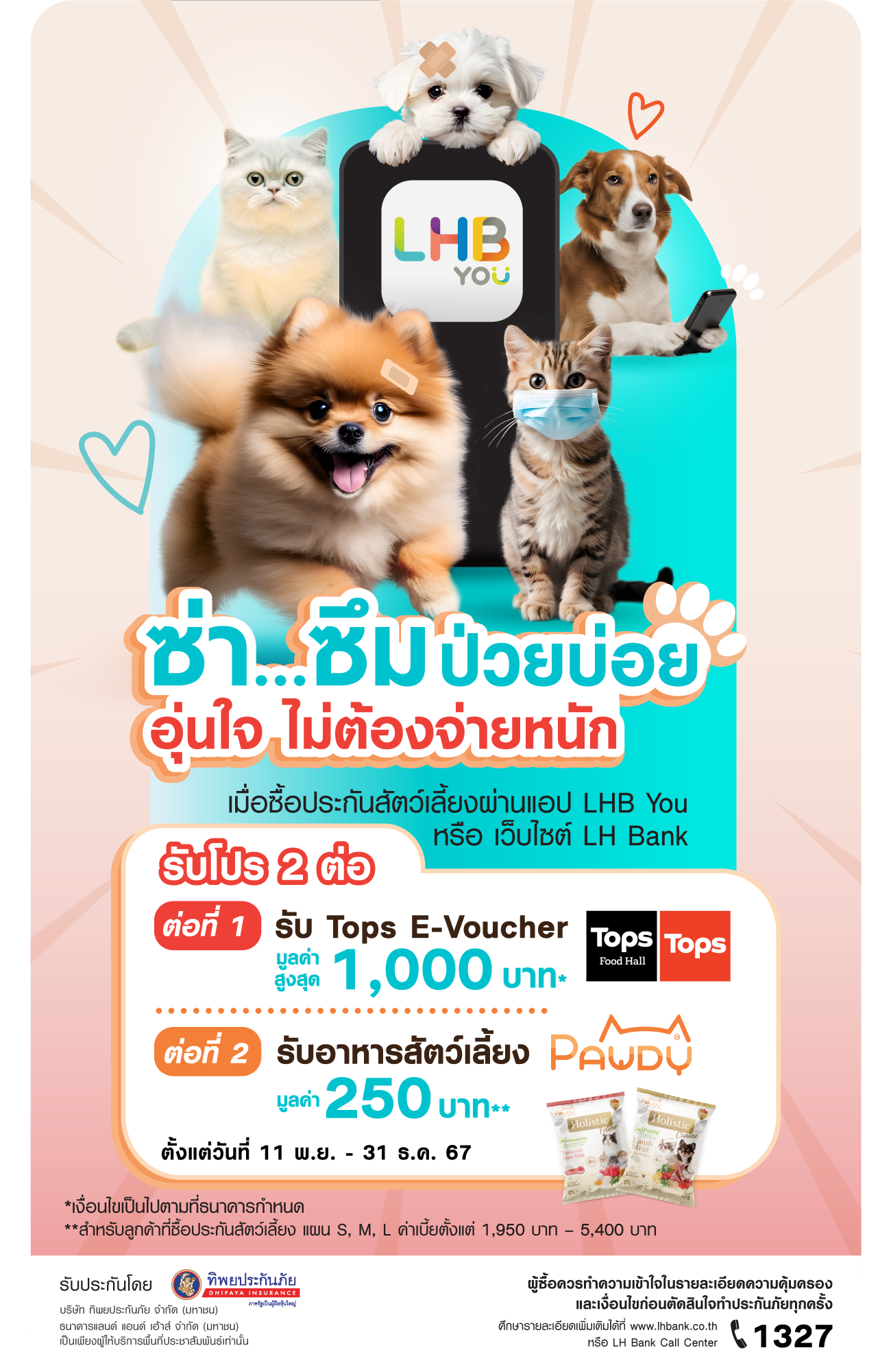 โปรดี โรงพยาบาลสัตว์ทองหล่อ